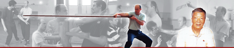 Wing Chun Kung Fu | IP Ching & Sifu Alan Mynett
